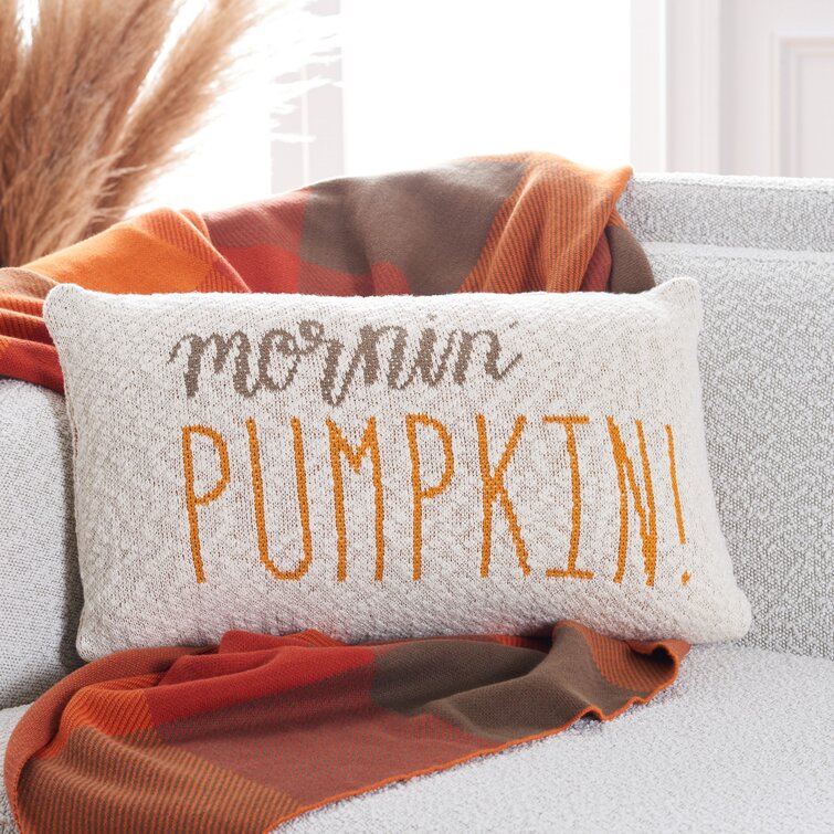 Wayfair discount orange pillows